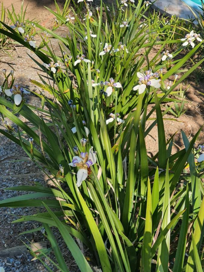 Chacara Cantinho Da Paz Ibiúna 外观 照片